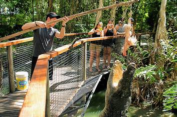 Feeding the BIG crocs